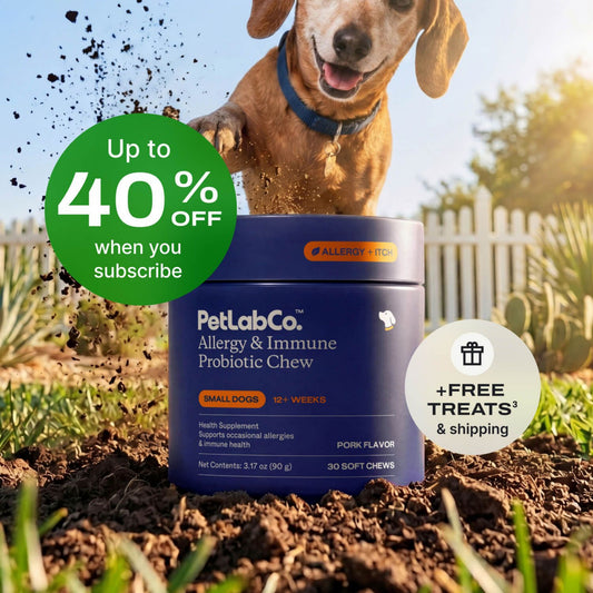 Allergy & Immune Chews - dog probiotics for seasonal allergies