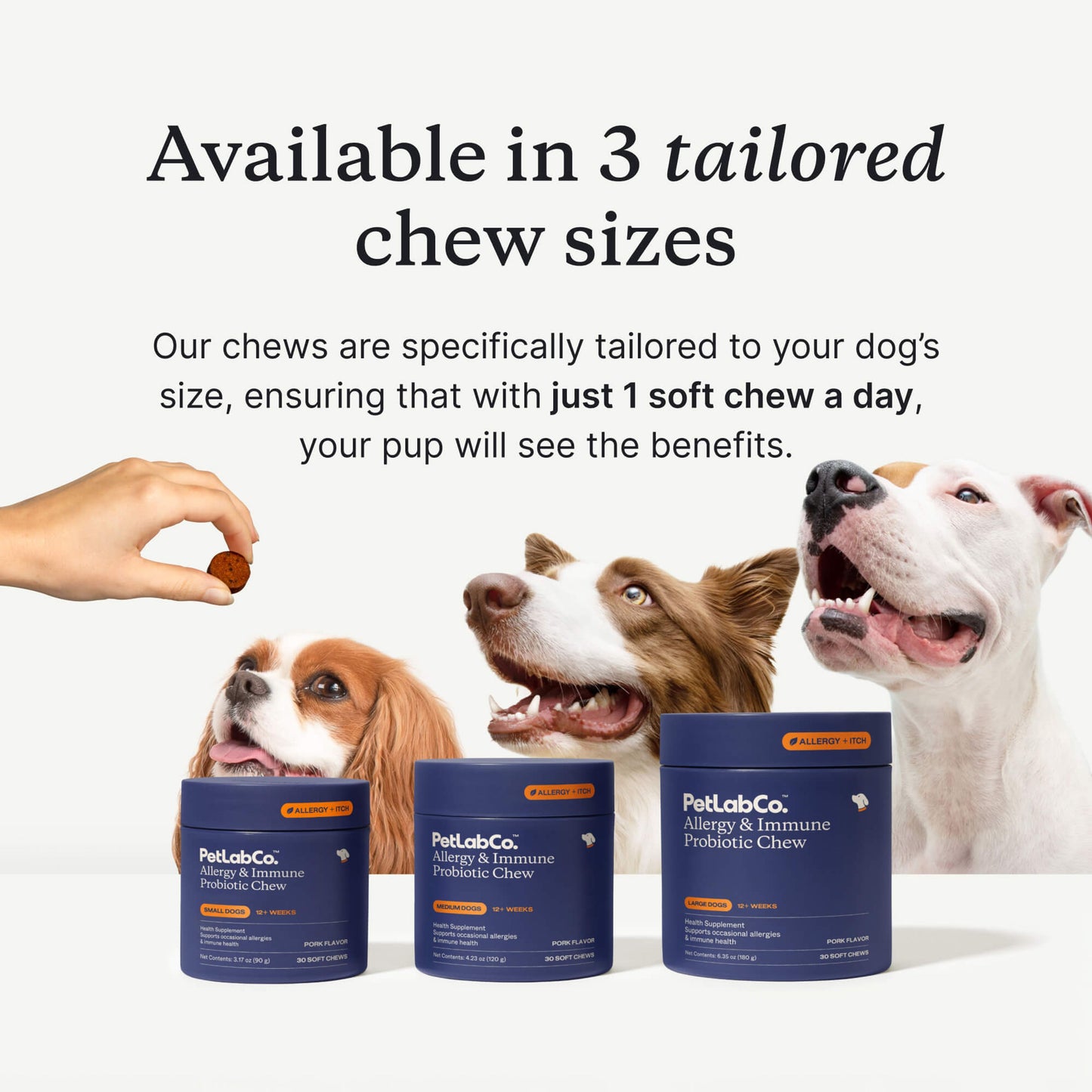 Allergy & Immune Chews - dog probiotics for seasonal allergies