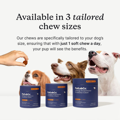 Allergy & Immune Chews - dog probiotics for seasonal allergies