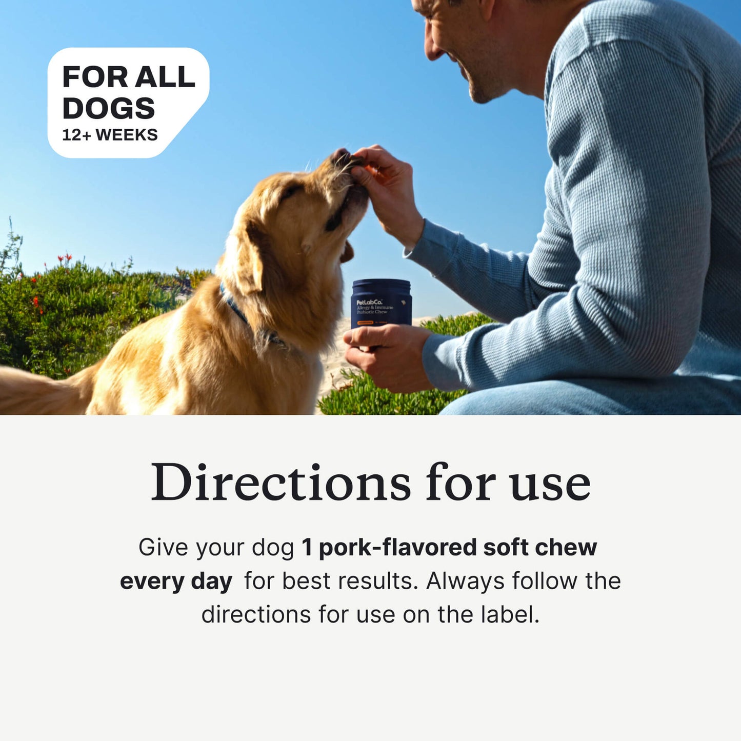 Allergy & Immune Chews - dog probiotics for seasonal allergies