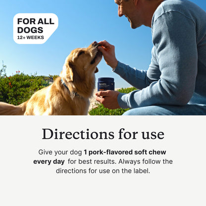Allergy & Immune Chews - dog probiotics for seasonal allergies