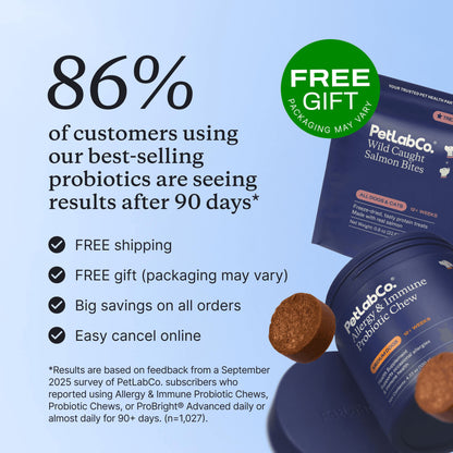 Allergy & Immune Chews - dog probiotics for seasonal allergies