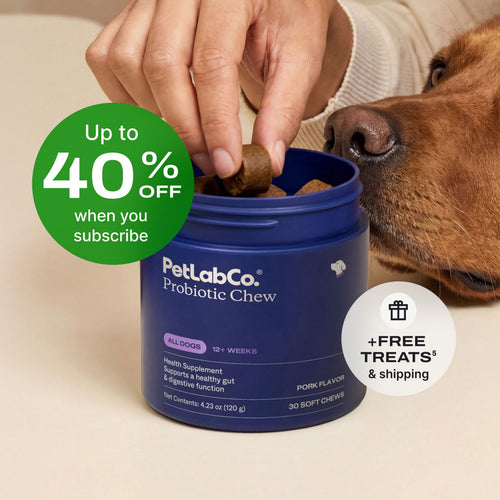 Probiotics for dogs – soft chews for gut & digestive health