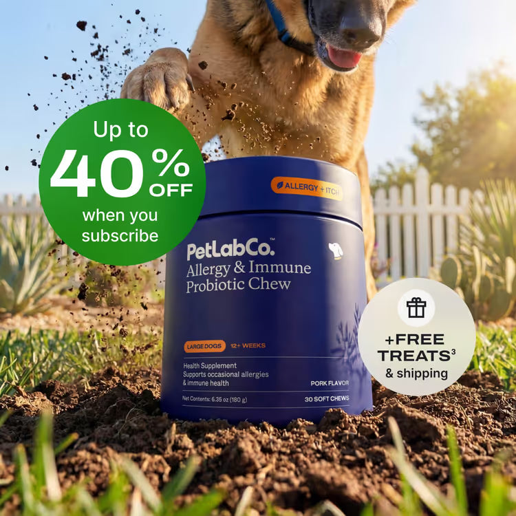 Allergy & Immune Chews - dog probiotics for seasonal allergies