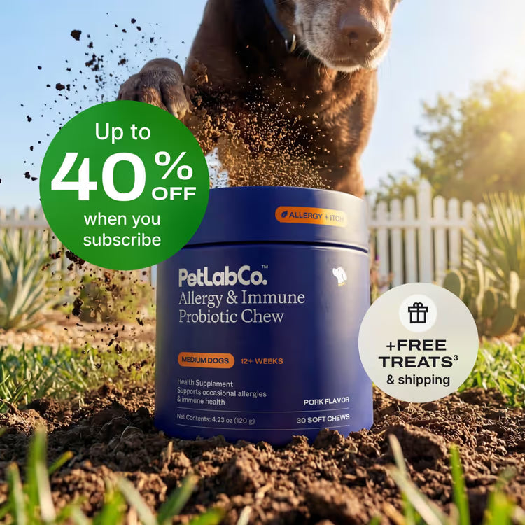 Allergy & Immune Chews - dog probiotics for seasonal allergies